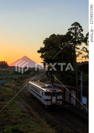 朝焼けの開聞岳を背景に松ヶ浦駅に入線する指宿枕崎線の気動車 朝焼けの開聞岳を背景に松ヶ浦駅に入線する指宿枕崎線の気動車 125983390
