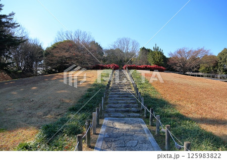 冬の公園　紅葉オタフクナンテン 125983822