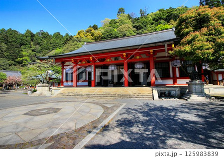 宇宙エネルギーが降注ぎ京の都の鬼門を護る… 鞍馬寺『本殿金堂・金剛床』 125983839