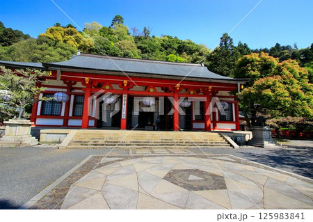 宇宙エネルギーが降注ぎ京の都の鬼門を護る… 鞍馬寺『本殿金堂・金剛床』 125983841