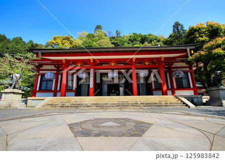 宇宙エネルギーが降注ぎ京の都の鬼門を護る… 鞍馬寺『本殿金堂・金剛床』 125983842