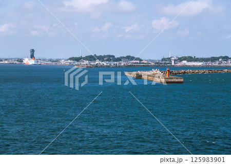 【さんふらわあ さっぽろ大洗行 大洗港に入港】 【さんふらわあ さっぽろ大洗行 大洗港に入港】 125983901