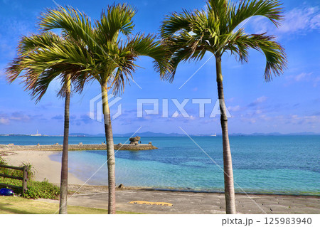 海中道路ビーチ・ヤシの木（沖縄県・うるま市） 125983940