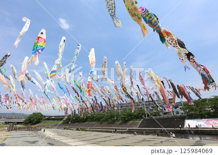 高槻　こいのぼり祭 125984069