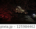 滋賀　長浜城 125984462