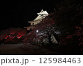 滋賀　長浜城 125984463