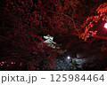 滋賀　長浜城 125984464