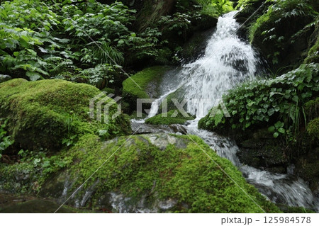 苔むした岩間を流れる水 125984578