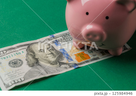 Piggy bank sits on a hundred dollar bill on a green background during daylight Piggy bank sits on a hundred dollar bill on a green background during daylight 125984946