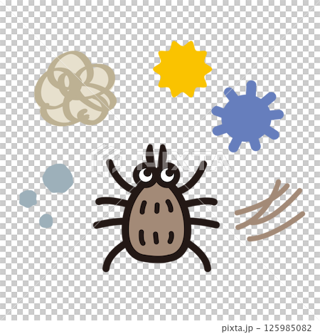 各種類型的室內灰塵，例如蟎蟲和灰塵 125985082