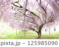 白毫寺 125985090
