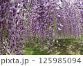 白毫寺 125985094