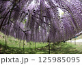 白毫寺 125985095