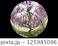 白毫寺 125985096