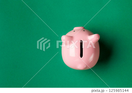 Ceramic piggy bank on a green background used for saving money and teaching financial responsibility Ceramic piggy bank on a green background used for saving money and teaching financial responsibility 125985144