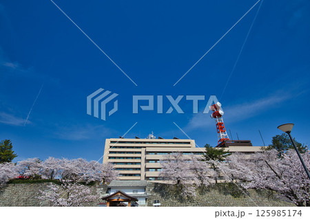 さくら満開の福井城祉お堀 125985174