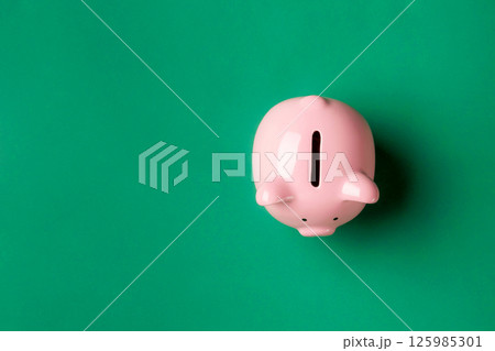 Piggy bank on green background highlights savings and financial planning for individuals wanting to improve their budget 125985301