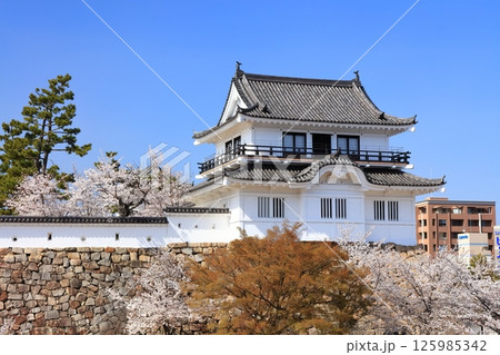 【広島県】桜咲く春の福山城（復興後）福山城桜まつり 125985342
