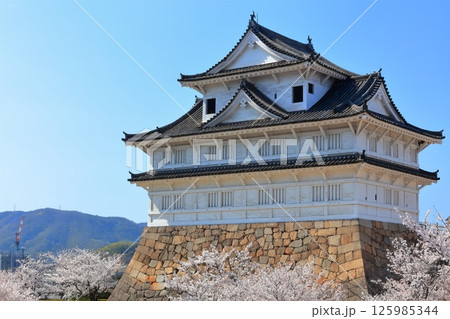 【広島県】桜咲く春の福山城(復興後)福山城桜まつり 【広島県】桜咲く春の福山城(復興後)福山城桜まつり 125985344