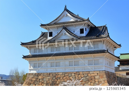【広島県】桜咲く春の福山城（復興後）福山城桜まつり 125985345