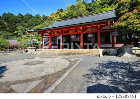 宇宙エネルギーが降注ぎ京の都の鬼門を護る… 鞍馬寺『本殿金堂・金剛床』 125985451