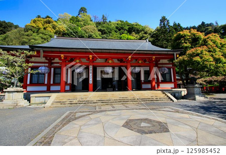 宇宙エネルギーが降注ぎ京の都の鬼門を護る… 鞍馬寺『本殿金堂・金剛床』 125985452