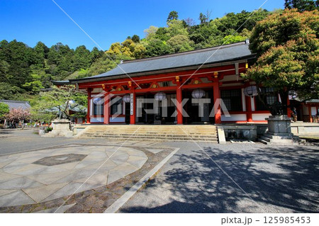 宇宙エネルギーが降注ぎ京の都の鬼門を護る… 鞍馬寺『本殿金堂・金剛床』 125985453