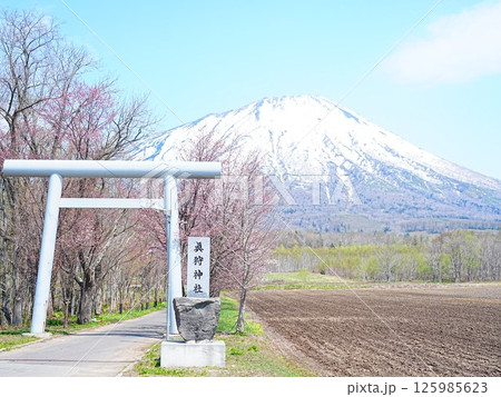 北海道の風景 春の真狩神社 残雪の羊蹄山 125985623