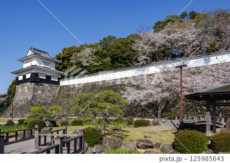 青空と玖島城址の桜 125985643