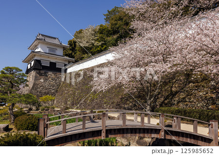 青空と玖島城址の桜 青空と玖島城址の桜 125985652