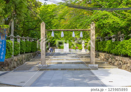 廣田神社　新緑に包まれた参道（兵庫県西宮市） 125985893