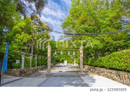 廣田神社 新緑に包まれた注連柱と参道(兵庫県西宮市) 廣田神社 新緑に包まれた注連柱と参道(兵庫県西宮市) 125985895