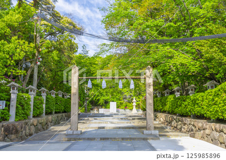 廣田神社　新緑に包まれた注連柱と参道（兵庫県西宮市） 125985896