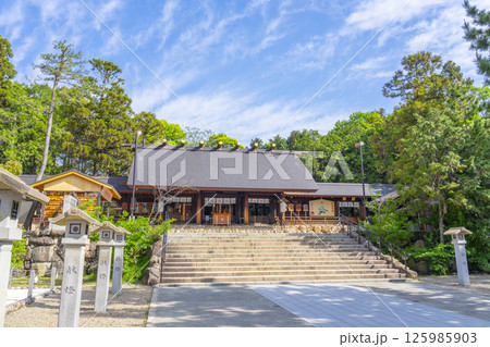 廣田神社　新緑に包まれた拝殿（兵庫県西宮市） 125985903