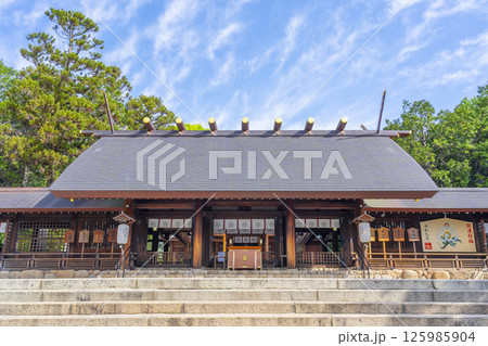 廣田神社 新緑に包まれた拝殿(兵庫県西宮市) 廣田神社 新緑に包まれた拝殿(兵庫県西宮市) 125985904