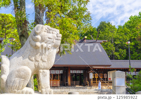 廣田神社 狛犬越しに見える拝殿(兵庫県西宮市) 廣田神社 狛犬越しに見える拝殿(兵庫県西宮市) 125985922