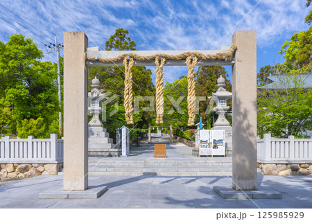 初夏の廣田神社　注連柱と参道 125985929