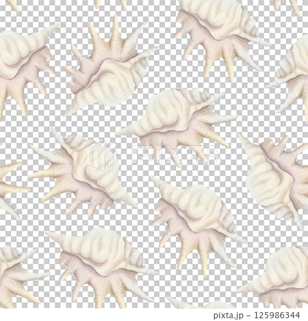 Pastel beige seashell seamless pattern with watercolor sea snail shells on white. Hand drawn realistic ocean mollusk repeat background for coastal designs. Coral reef animal tropical clip art Pastel beige seashell seamless pattern with watercolor sea snail shells on white. Hand drawn realistic ocean mollusk repeat background for coastal designs. Coral reef animal tropical clip art 125986344