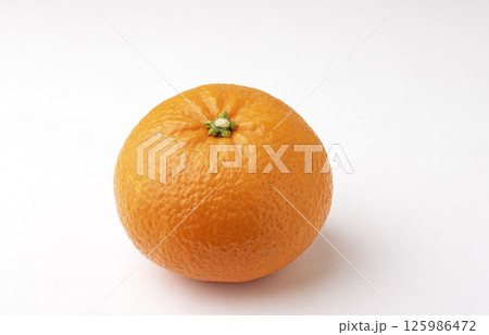 伊予柑 125986472