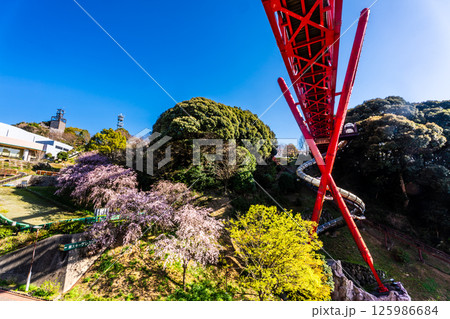 中尾城公園の桜【長崎県西彼杵郡長与町】 125986684