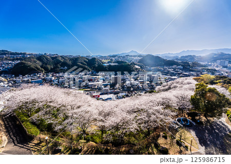 中尾城公園の桜【長崎県西彼杵郡長与町】 125986715