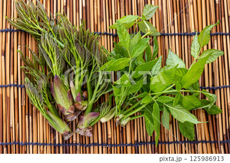 タラの芽とコシアブラ　山菜 125986913
