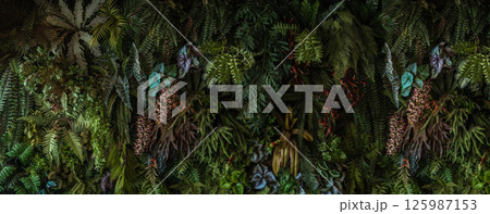 Herb wall, plant wall, natural green wallpaper and background.  125987153