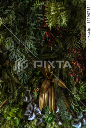 Herb wall, plant wall, natural green wallpaper and background. Herb wall, plant wall, natural green wallpaper and background. 125987154