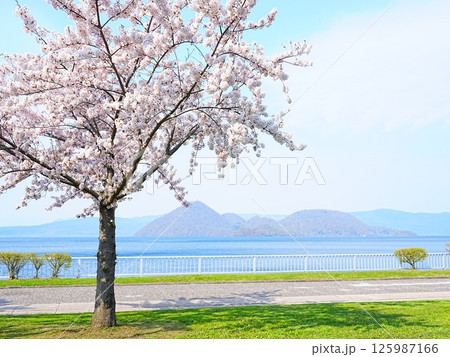 北海道の絶景 春の洞爺湖 桜満開 北海道の絶景 春の洞爺湖 桜満開 125987166