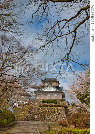 さくら満開の大野城 125987376