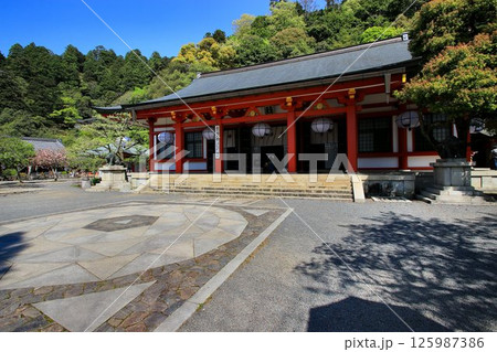 宇宙エネルギーが降注ぎ京の都の鬼門を護る… 鞍馬寺『本殿金堂・金剛床』 125987386