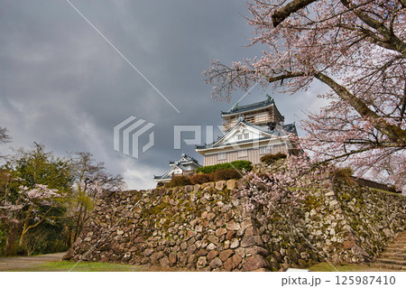 さくら満開の大野城 125987410