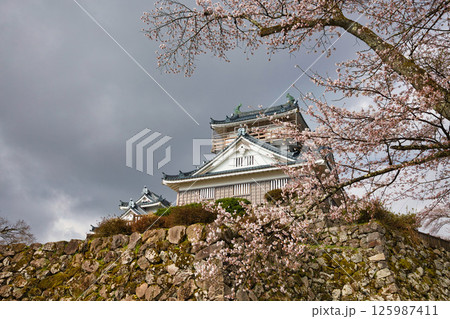 さくら満開の大野城 さくら満開の大野城 125987411