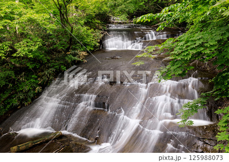 北海道恵庭市、新緑に包まれるラルマナイの滝【5月】 125988073